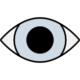 Eye  Icon