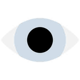 Eye  Icon