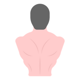 Body Muscles  Icon