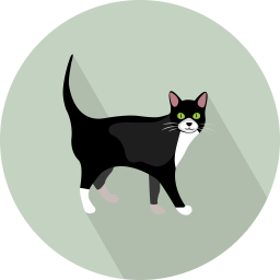 Cat  Icon