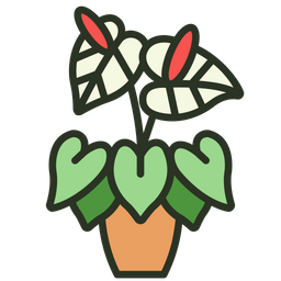 Anthurium  Icon