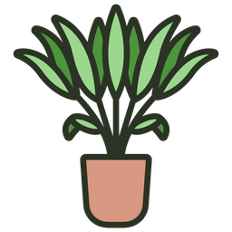 Areca Palm  Icon