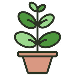 Ficus Elastica  Icon