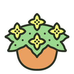 Begonia  Icon