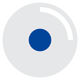 Disc  Icon