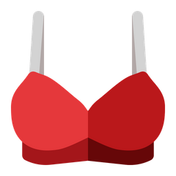 Bra  Icon