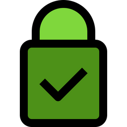 Padlock Check  Icon