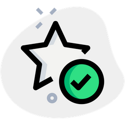 Check Star  Icon