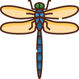 Dragonfly  Icon