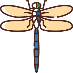 Dragonfly  Icon