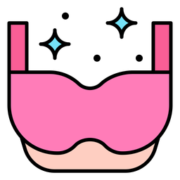 Bra  Icon