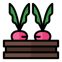 Beetroot  Icon