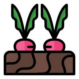 Beetroot  Icon