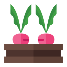 Beetroot  Icon