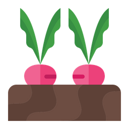 Beetroot  Icon