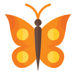 Butterfly  Icon