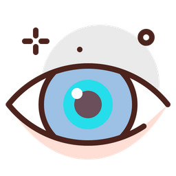 Ojo  Icono