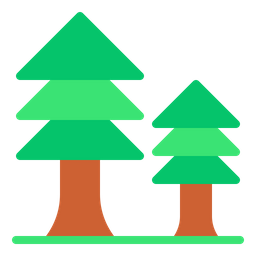 Pine Tree  Icon