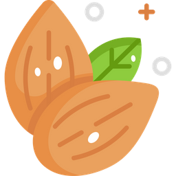 Almonds  Icon