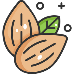 Almonds  Icon