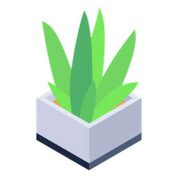 Aloe Vera  Icon