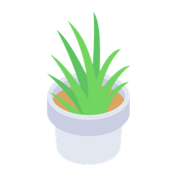 Aloe Vera Pflanze  Symbol