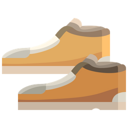 Shoes  Icon