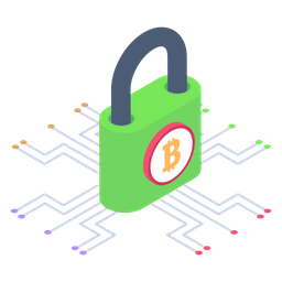 Bitcoin Encryption  Icon