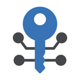 Key Connection  Icon