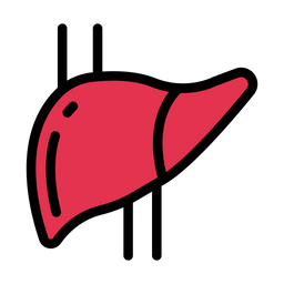 Liver  Icon