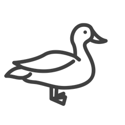 Duck  Icon