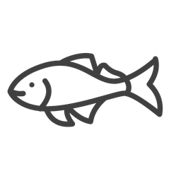 Fish  Icon