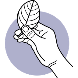 Hand  Icon