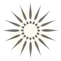 Geometric Sunburst  Icon