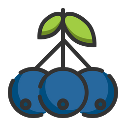 Blue berry  Icon