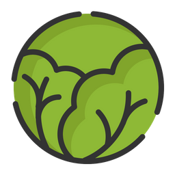 Cabbage  Icon