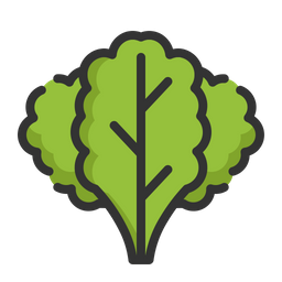 Kale  Icon