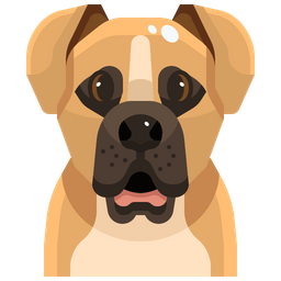 Boxer  Icono