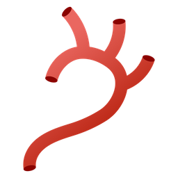 Arteries  Icon