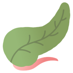 Duodenum  Icon