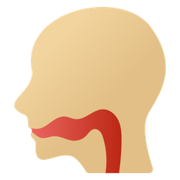 Esophagus  Icon