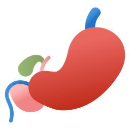 Digestive System  Icon