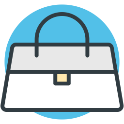 Bag  Icon