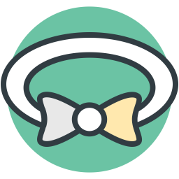 Belt  Icon