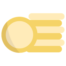 Coins  Icon