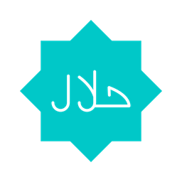 Halal Sign  Icon