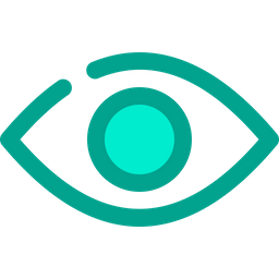 Eye  Icon