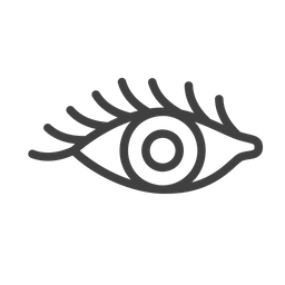 Eye  Icon