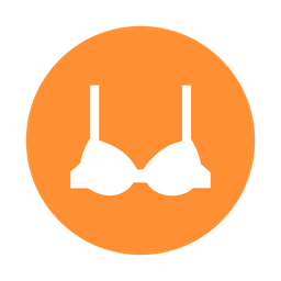 Bra  Icon