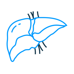 Hepatologie  Symbol